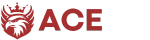 aceproject.site